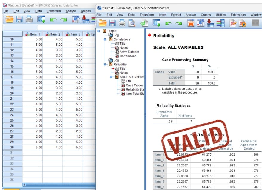 jasa olah data spss